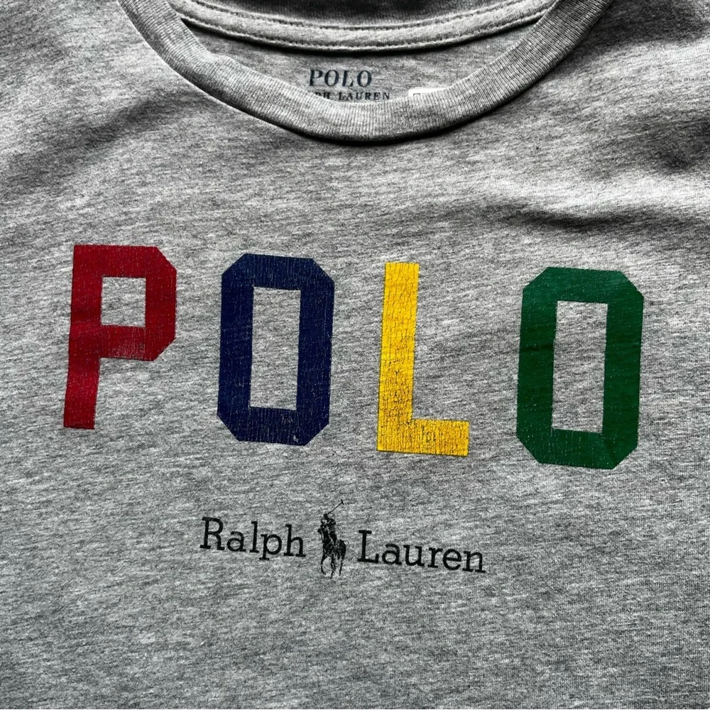 Polo by Ralph Lauren Kids Gray Tee with Multicolor Logo Large 14-16